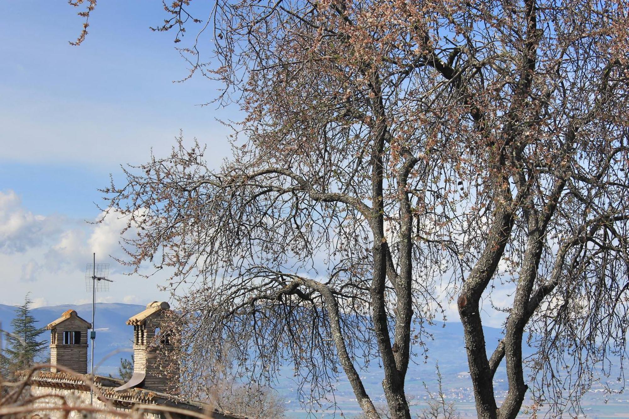 La Casa Di Lucapietro Dimora Storica Country house *